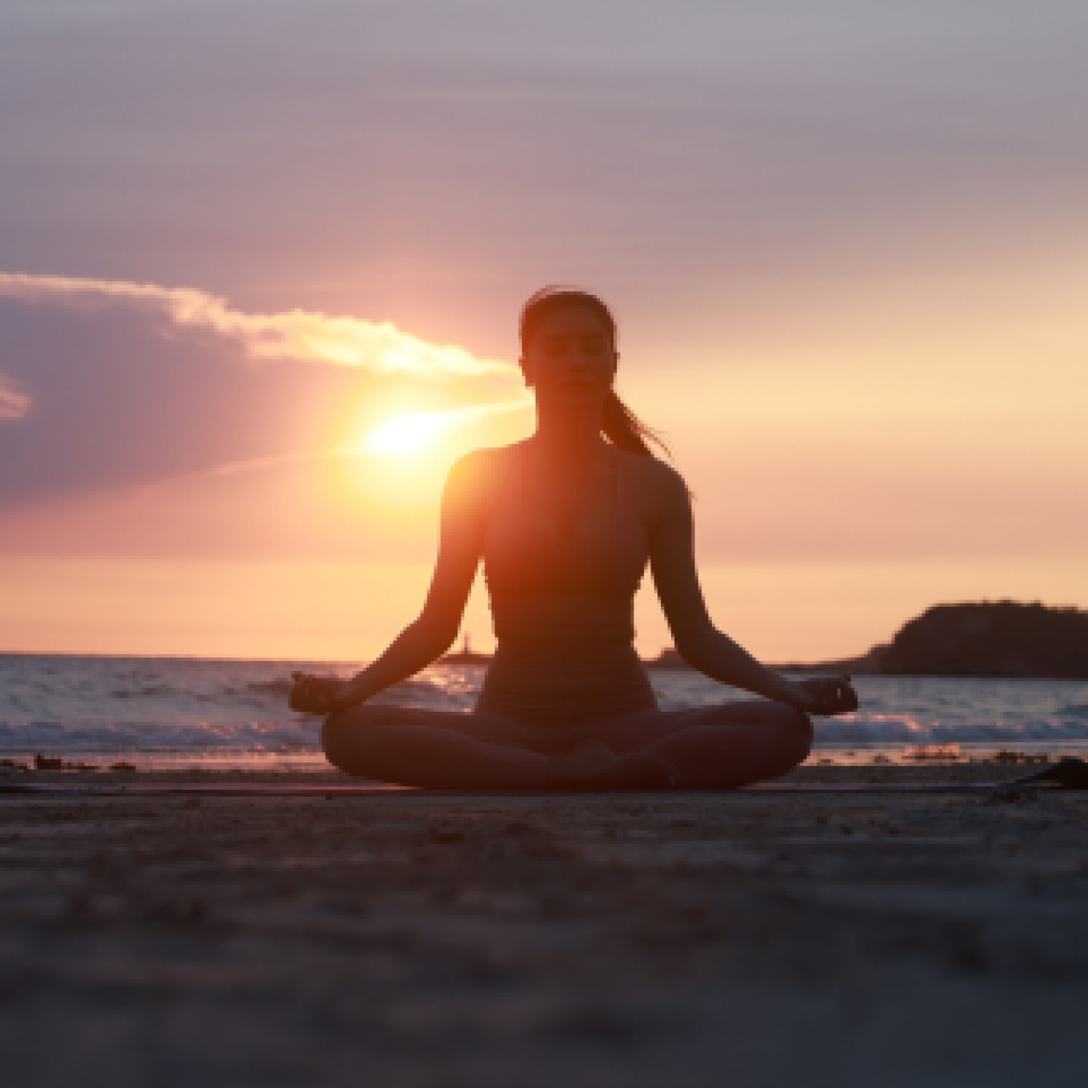 Health & Wellness