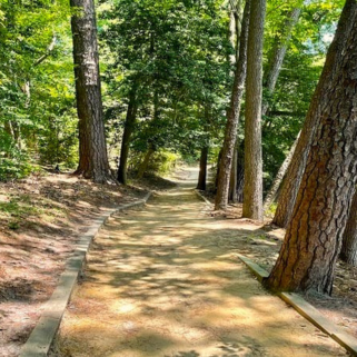 Noland Trail