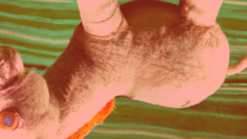 DALL·E 2022-08-08 22.08.21 - A toy mule, hyperdetailed, weird, whimsical, background is the skin of a lime, sigma 85mm f_8.png Copy