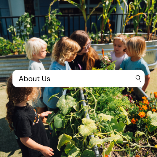 Preschool students explore an outdoor vegetable garden