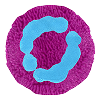 A circular graphic with a textured purple background and a blue abstract shape resembling interconnected loops in the center.