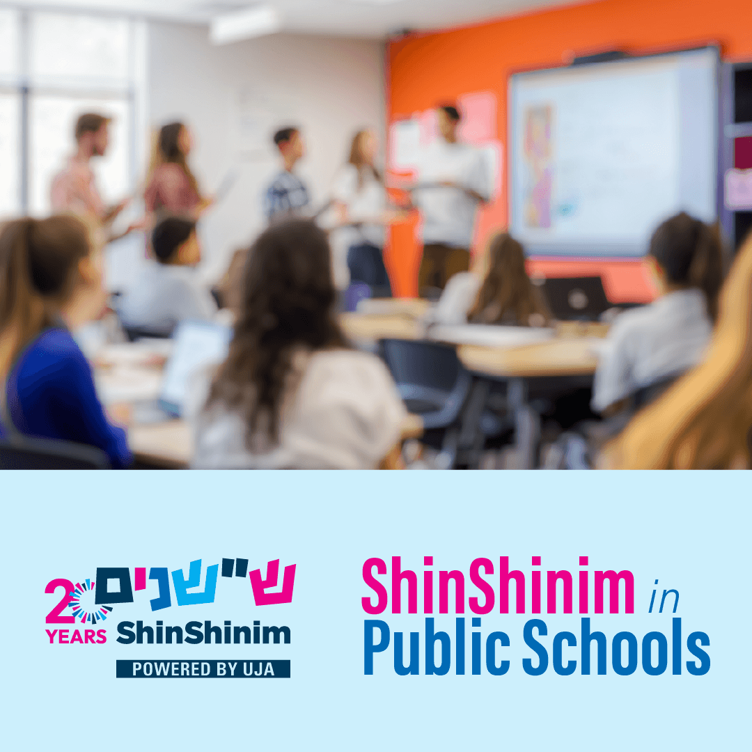 ShinShinim Public School