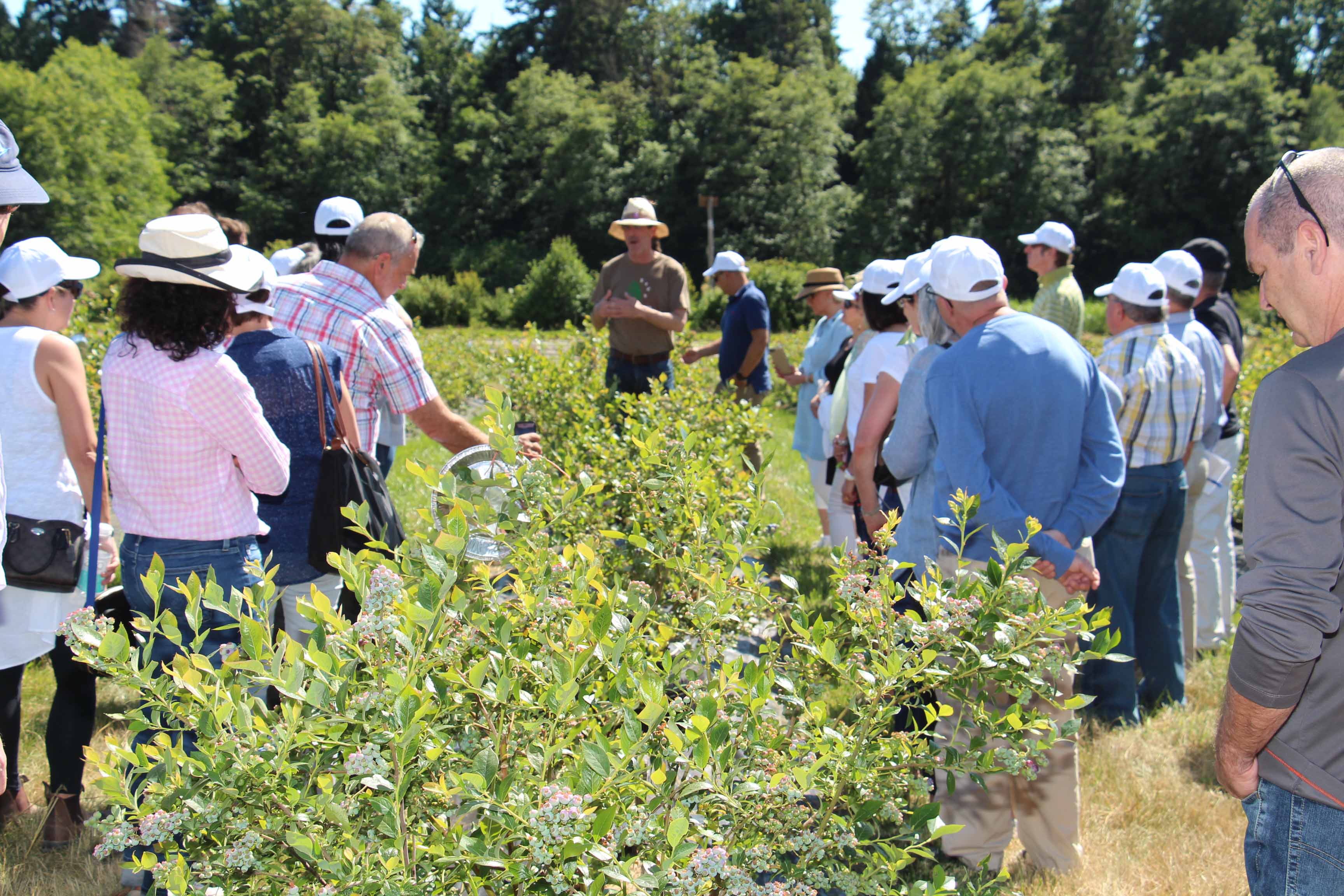 Joint Steering Committee at the Centre for Sustainable Food Systems at the UBC Farm